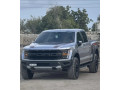 ford-raptor-small-0