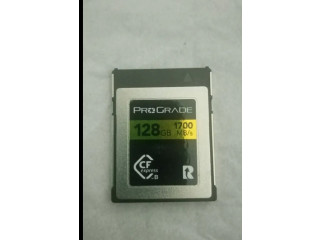 Pro-Garde 325GB Memory card type B