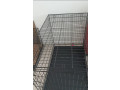 cage-for-dog-small-0