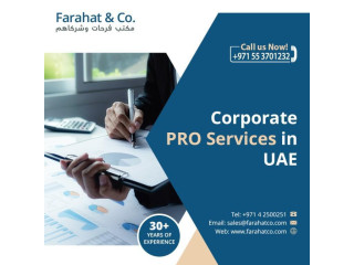 Pro Service In Dubai