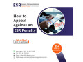 how-to-appeal-for-esr-penalties-in-the-uae-small-0