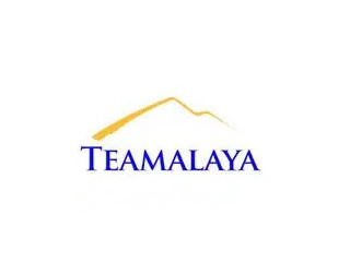 Teamalaya Recruitment Services