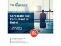 tax-consultant-in-dubai-small-0