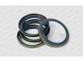 carraro-seal-types-oem-parts-small-0